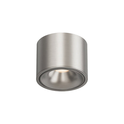 Adjustable Ceiling Light