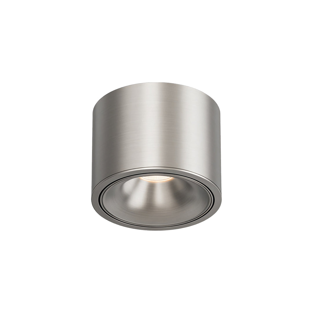Adjustable Ceiling Light