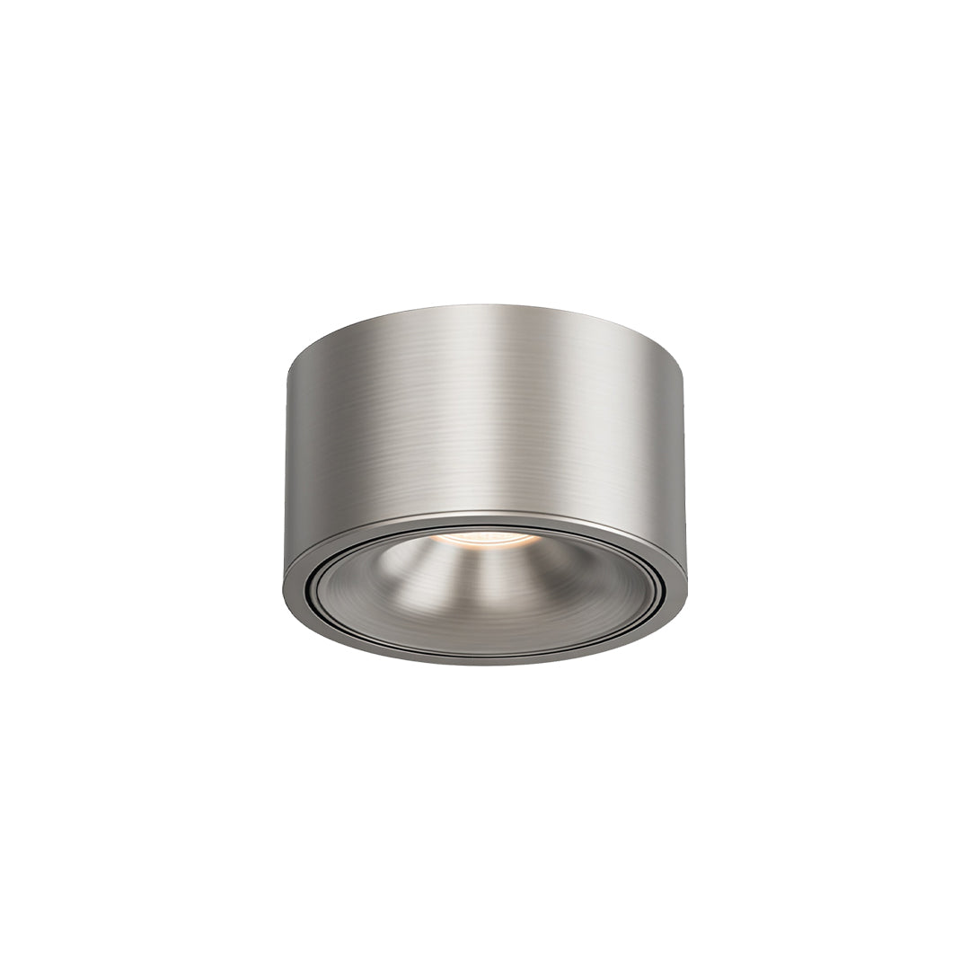 Adjustable Ceiling Light