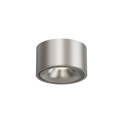 Adjustable Ceiling Light