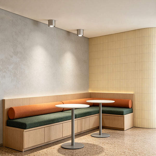Adjustable Ceiling Light