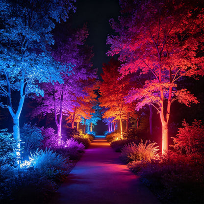 Vibrant Outdoor Color Lights