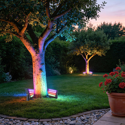 Vibrant Outdoor Color Lights