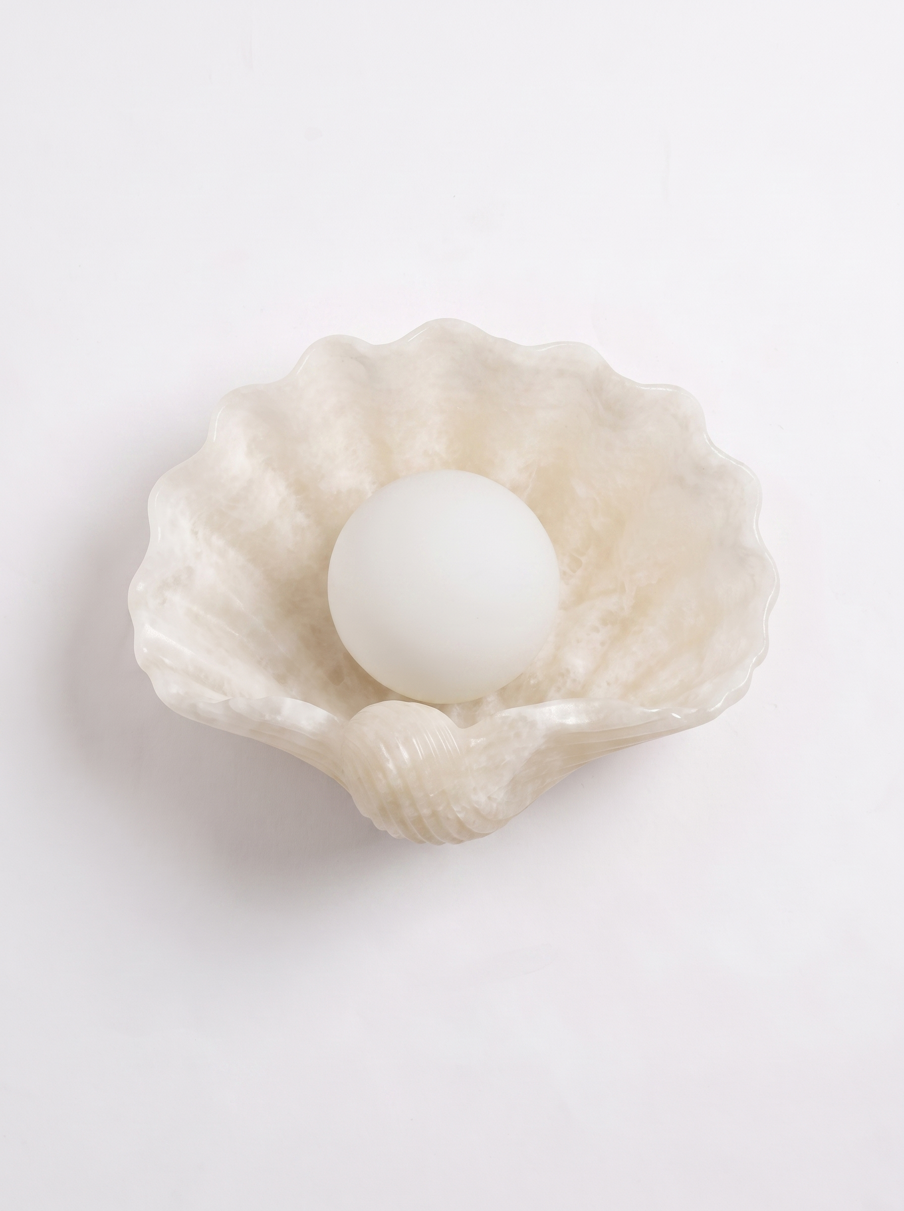 AIR HAVEN Alabaster Shell Wall Sconce white hero