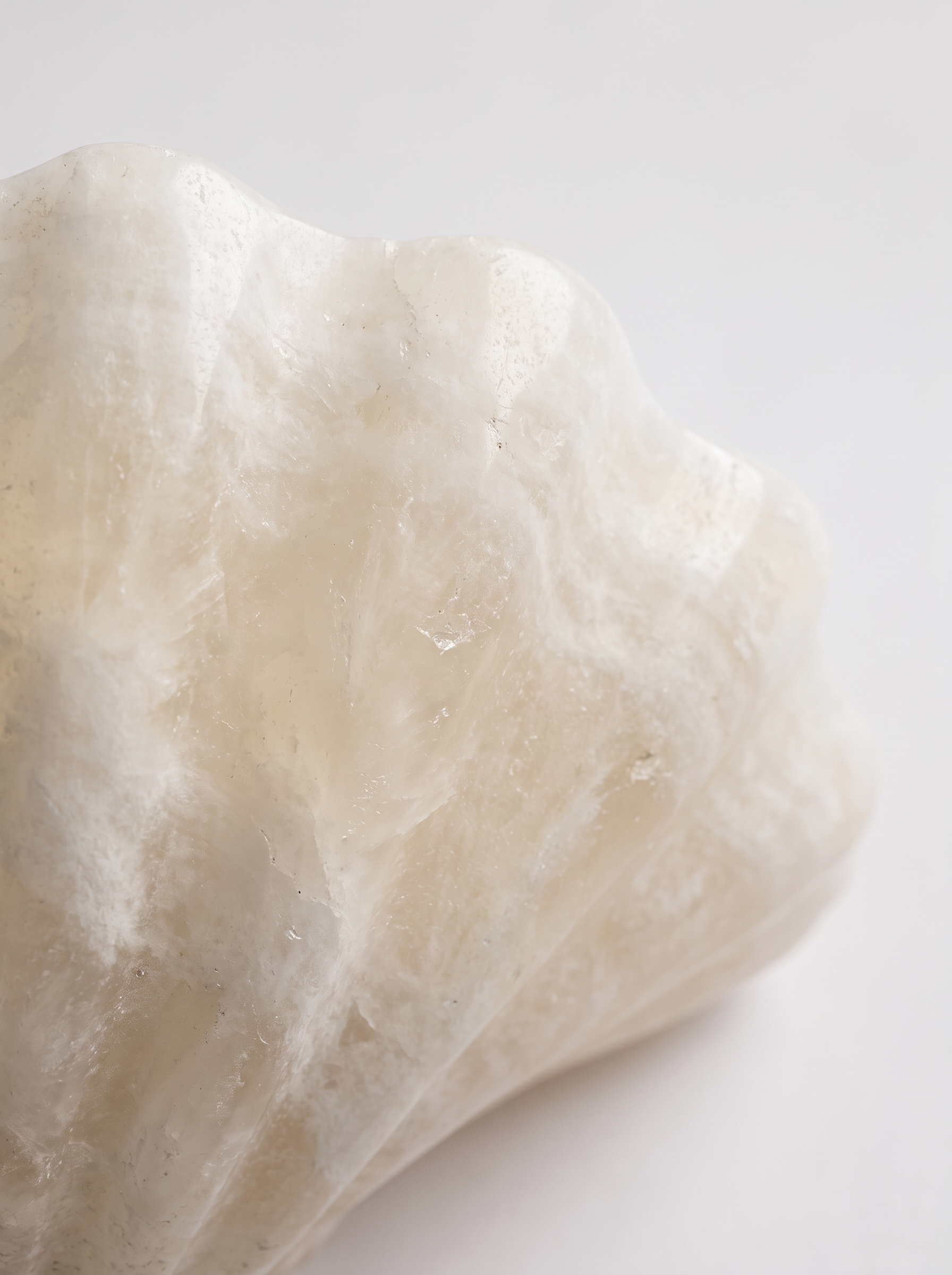 AIR HAVEN Alabaster Shell Wall Sconce material detail